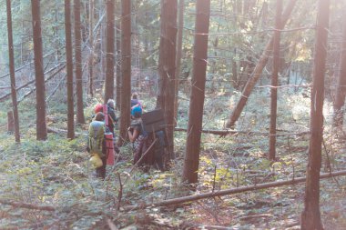 Karpatlar, Ukraynalılar- 29 Eylül 2018: Sırt çantalı bir grup turist yürüyüşe çıktı.