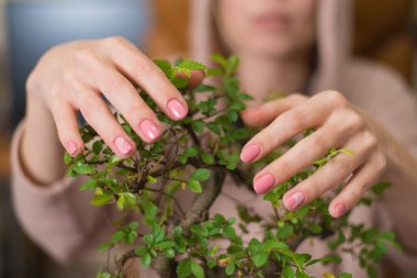 Bir kadın küçük bir bonsai ağacına sarılıyor..