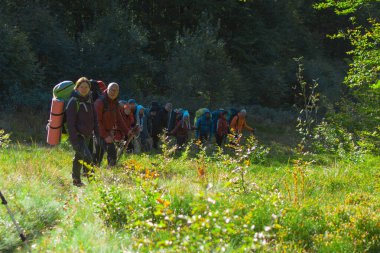 Karpatlar, Ukraynalılar- 29 Eylül 2018: Sırt çantalı bir grup turist yürüyüşe çıktı.