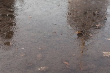 Eriyen buz ve yapraklarla su yüzeyi.