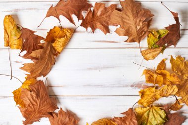 Beyaz ahşap zemin üzerinde kuru sarı yapraklar çerçevesi. Bir yazıt için yer.