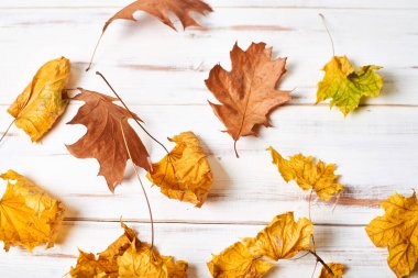 Beyaz ahşap zemin üzerinde kuru sarı yapraklar çerçevesi. Bir yazıt için yer.