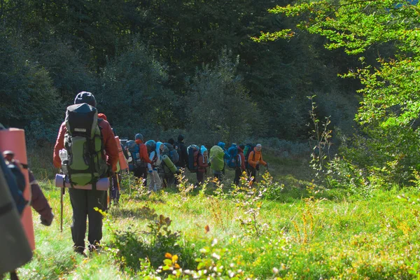 Karpatlar, Ukraynalılar- 29 Eylül 2018: Sırt çantalı bir grup turist yürüyüşe çıktı.
