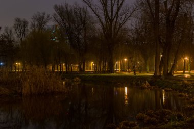 Geceleri göl ve ara sokaklarla park manzarası.