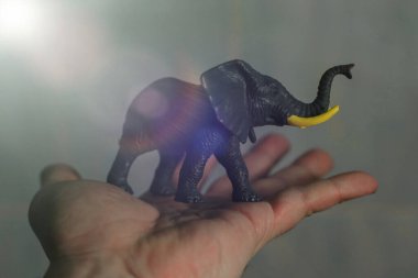 Bir adamın avucundaki fil figürü.