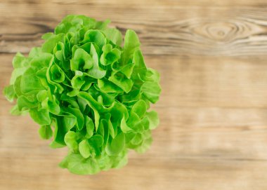 Tahta arka planda taze salata yaprakları.