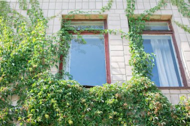 Tuğla binadaki eski pencereler.