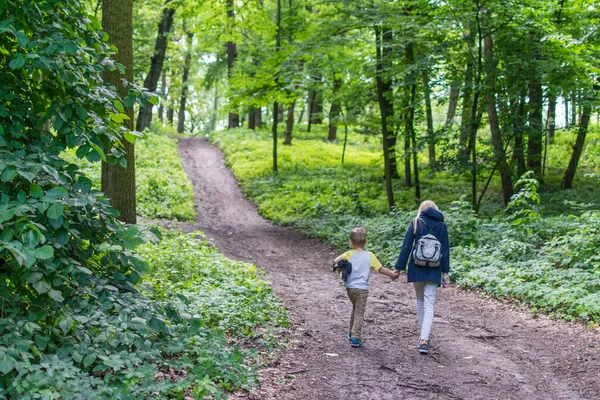 Duas Crianças Caminham Longo Caminho Florestal Irmã Irmão Mais Novo — Fotografia de Stock