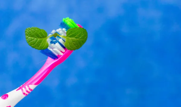 Toothbrush Mint Blue Background — Stock Photo, Image