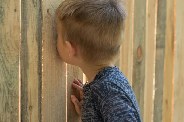 Curiosidad Del Niño Niño Pequeño Mira Dentro Grieta Una Cerca — Foto de Stock