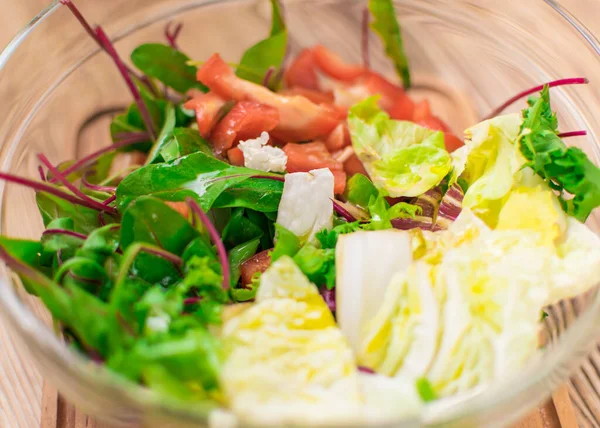 Salada Vegetariana Fresca Diferentes Plantas — Fotografia de Stock