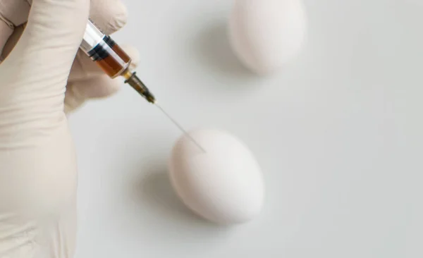Поняття Неприродної Хімічної Їжі Гмо Курячі Яйця Шприц — стокове фото