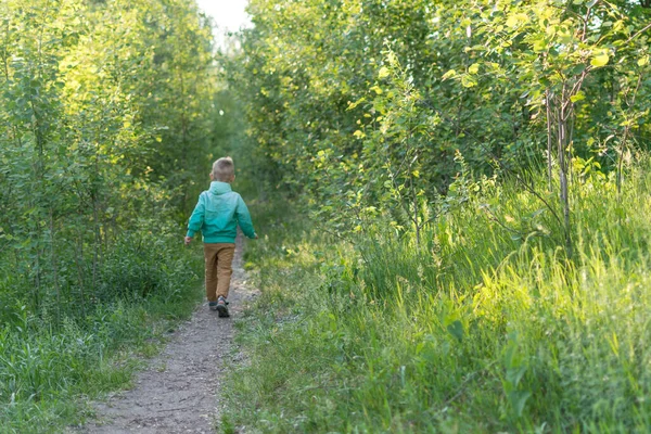 Menino Está Caminhando Longo Caminho Florestal Criança Vai Para Distância — Fotografia de Stock