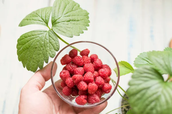 Raspberries Glass Plate — Stock Photo, Image