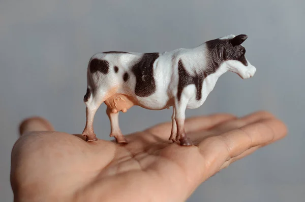 Figura Una Vaca Mano Hombre —  Fotos de Stock