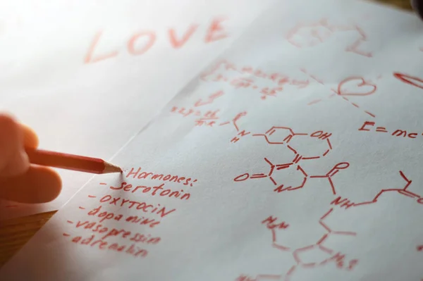 Das Konzept Der Liebe Als Hormone Papierblätter Mit Formeln Auf — Stockfoto