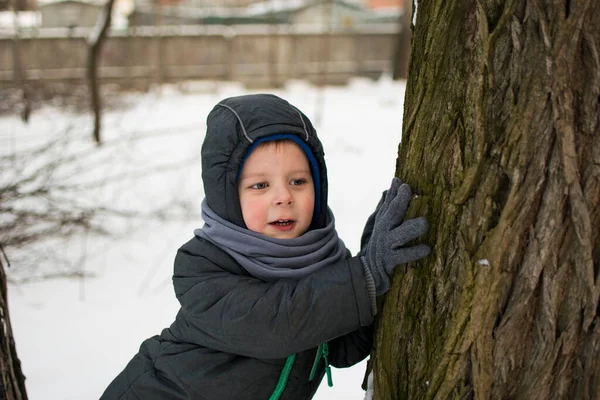 Malý Chlapec Zimě Parku Stojí Stromu — Stock fotografie