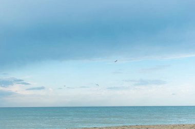 Uçan martılarla kıyıdan denize bak..