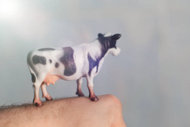 Bir adamın elinde bir inek figürü..