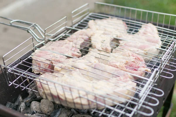 Grandes Trozos Costillas Cerdo Parrilla Preparación Carne Asada Sobre Carbón —  Fotos de Stock