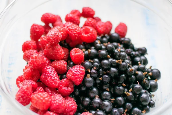 Berries Raspberries Black Currants — Stock Photo, Image