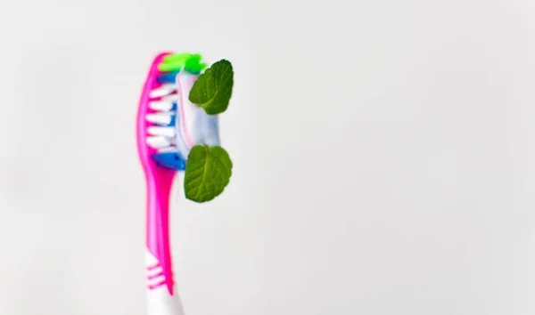 Toothbrush Toothpaste Mint White Background — Stock Photo, Image