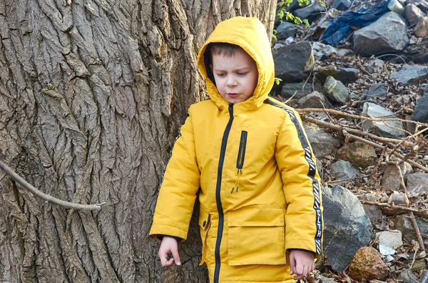Маленький Мальчик Стоит Обиженный Возле Дерева — стоковое фото