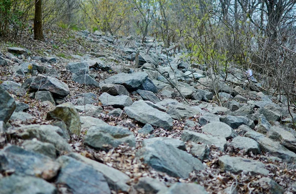 Grandes Pedras Jazem Chão — Fotografia de Stock