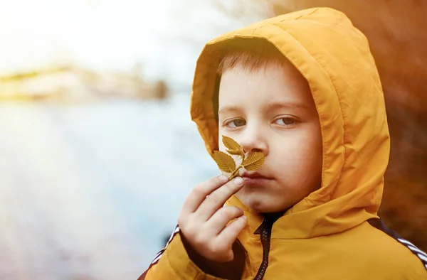 Niño Olfateando Una Hoja — Foto de Stock