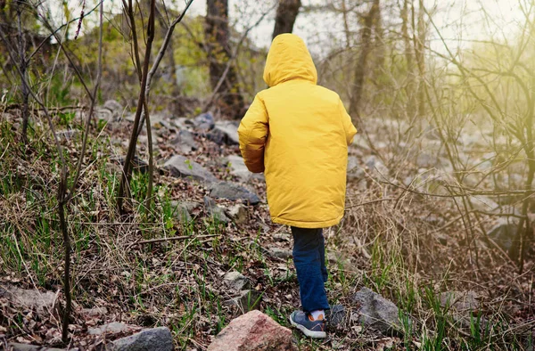 Маленький Мальчик Ходит Камням Лесу — стоковое фото