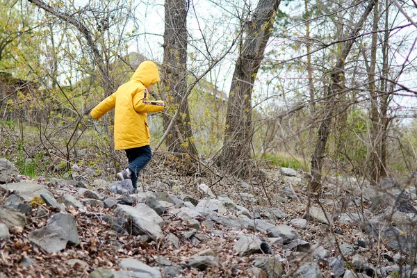 Ragazzino Cammina Sulle Pietre Nella Foresta — Foto Stock