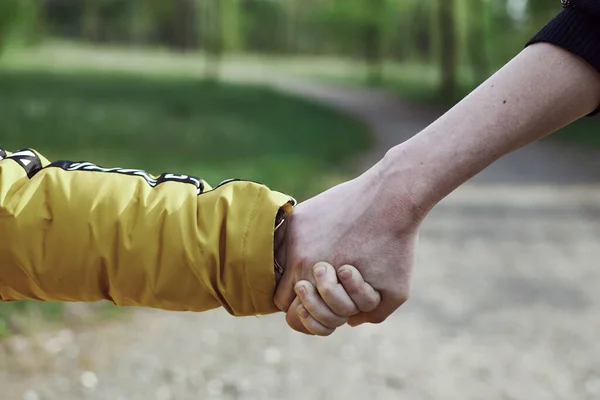 公園内の大人と子供の手 — ストック写真