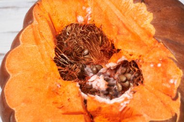 Çürük balkabağı. Ürünlerin ayrışması.