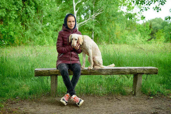 一个带着狗的女人正坐在长椅上 大皇家狮子狗和主人在公园休息 — 图库照片