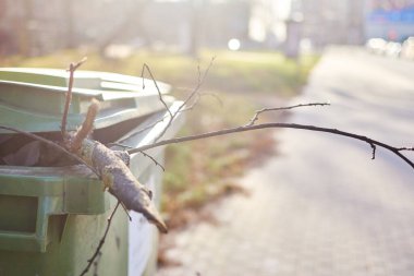 Ağaç dalları çöpe atıldı..