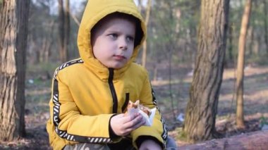 Bir çocuk piknikte ormanda rulo yiyor..