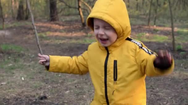 Ragazzo Salta Gioiosamente Nella Foresta Con Bastone Mano — Video Stock