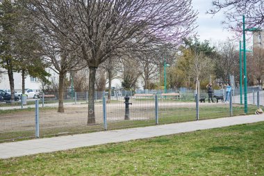Viyana, Avusturya - 11 Mart 2020: Şehirde köpek gezdirme yeri.