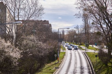 Viyana, Avusturya - 10 Mart 2020: Şehirde arabalı yol manzarası.