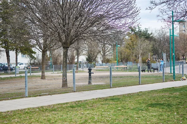 Vienna, Austria - March 11, 2020: Fenced area for dog walking in the city. — Stock Image Vienna Austria March 2020 Fenced Area Dog Walking City Stock Image