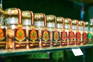 Viyana, Avusturya - 12 Mart 2020: Marihuananın farklı çeşitleri, bir mağaza vitrininde esrar.