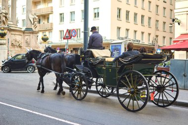 Viyana, Avusturya - 11 Mart 2020: Atlar şehir merkezinde bir araba taşıyor.