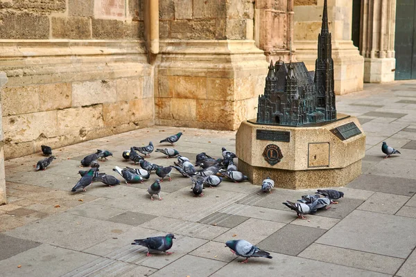 Viyana, Avusturya - 12 Mart 2020: Viyana 'daki St. Stephen Katedrali yakınlarındaki güvercinler.