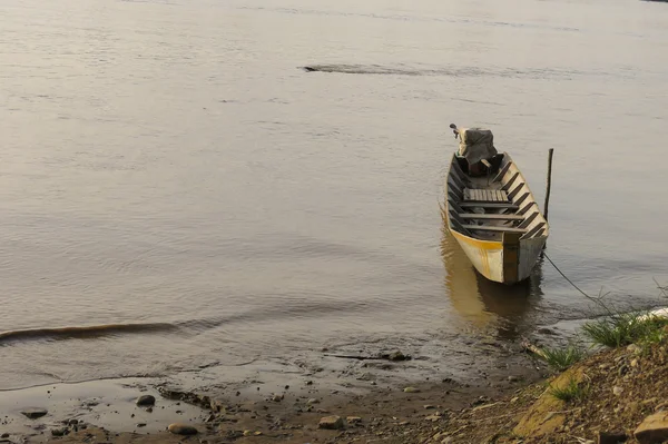 Rurrenabaque, Bolivia: Beni Nehri üzerinde tekne