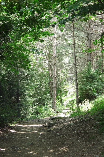 Aiguestortes εθνικό πάρκο στη Καταλανικά Πυρηναία, Ισπανία — Φωτογραφία Αρχείου