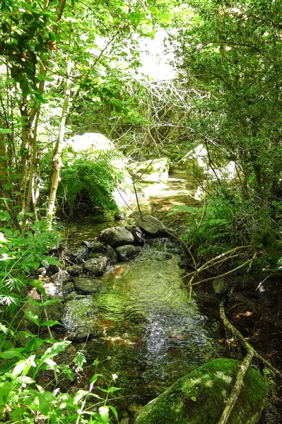 Aiguestortes Nemzeti Park, a katalán Pireneusokban, Spanyolországban — Stock Fotó