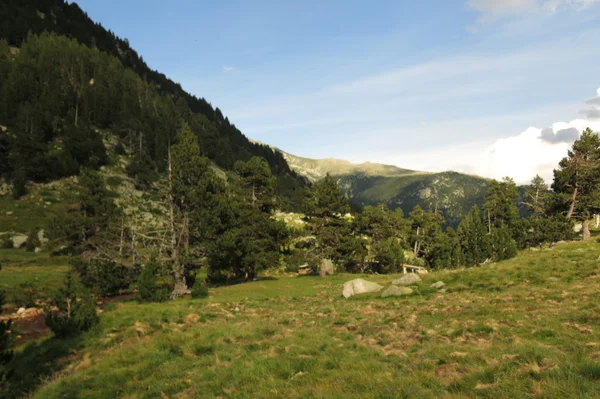 Widok na dolinę Llubriqueto w park narodowy Aiguestortes, Catalo — Zdjęcie stockowe