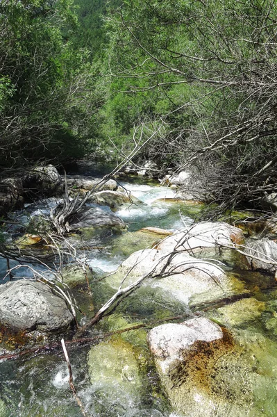 Aiguestortes National Park in the Catalan Pyrenees, Spain — Stock Photo, Image