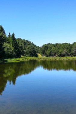 Aran Vadisi Katalanca Pyrenees, İspanya