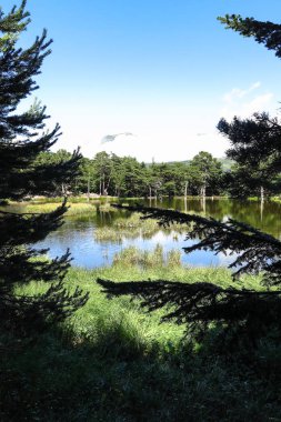 Aran Vadisi Katalanca Pyrenees, İspanya